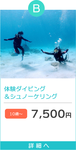 体験ダイビング＆シュノーケリング